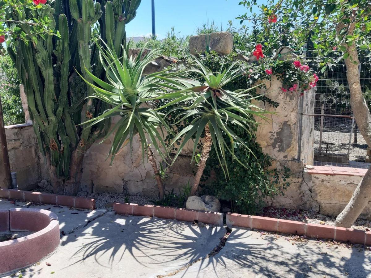 La Casa In Campagna Apartment Chiesa Nuova  ภายนอก รูปภาพ